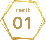 merit01