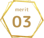 merit03