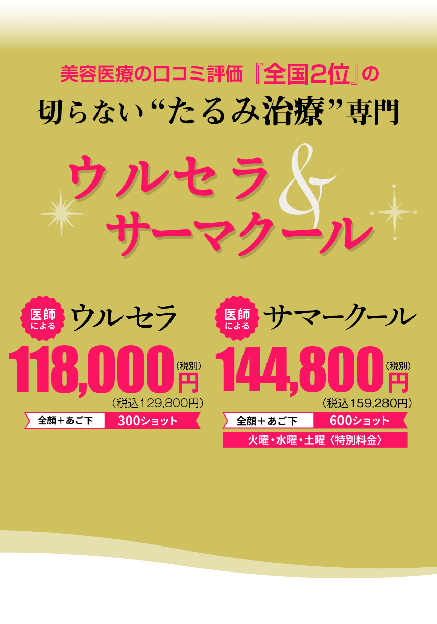 メインビュー値段